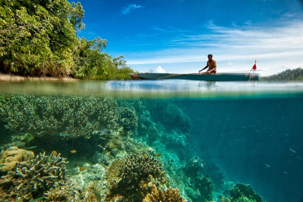 landscape, underwater, on the water surface