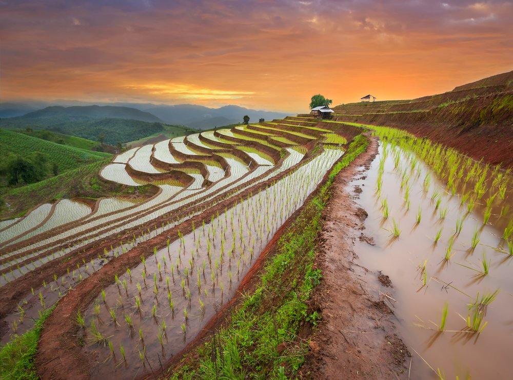 Bali et ferieparadis