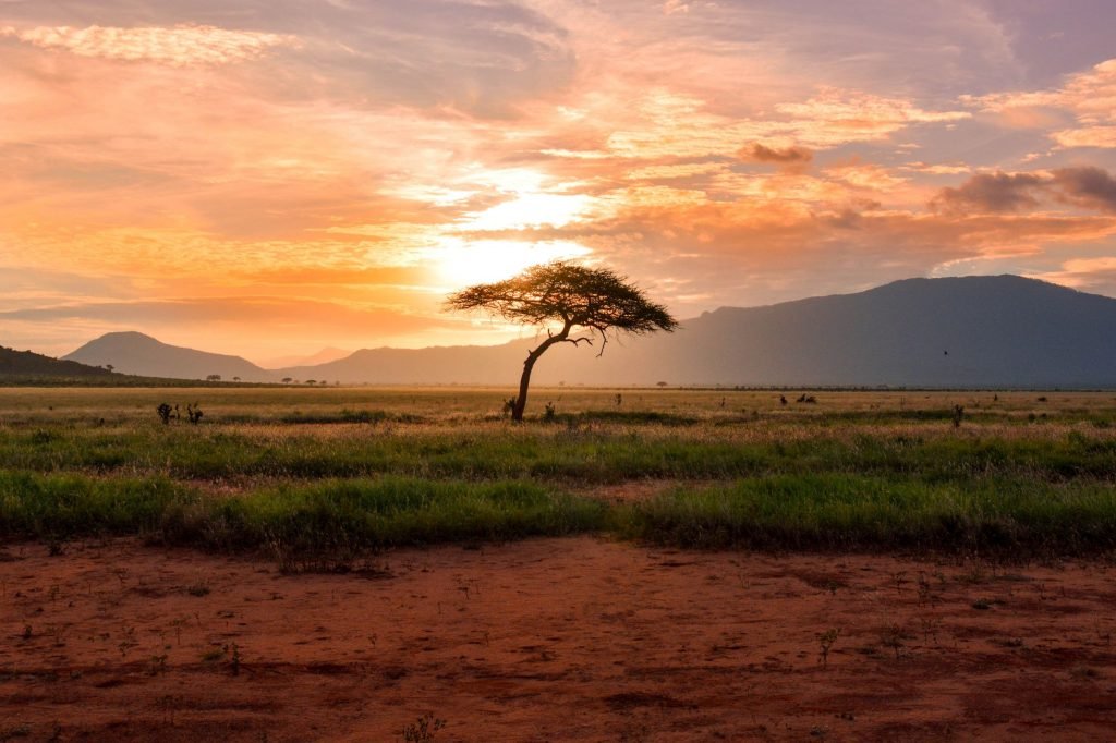 safari i kenya tsavo nasjonalpark utenfor turistløypa