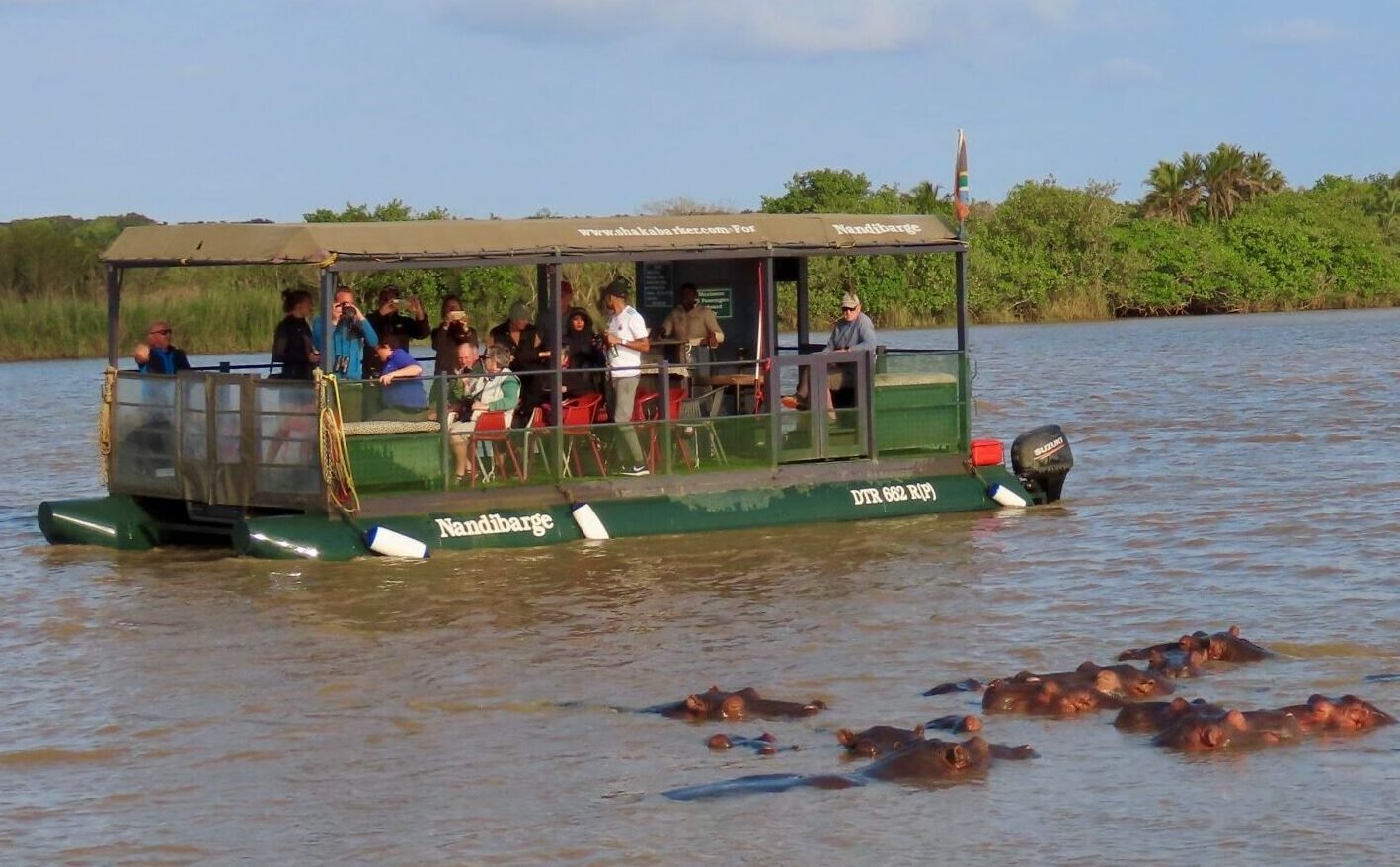 safari utenfor allfarvei Sør-Afrika