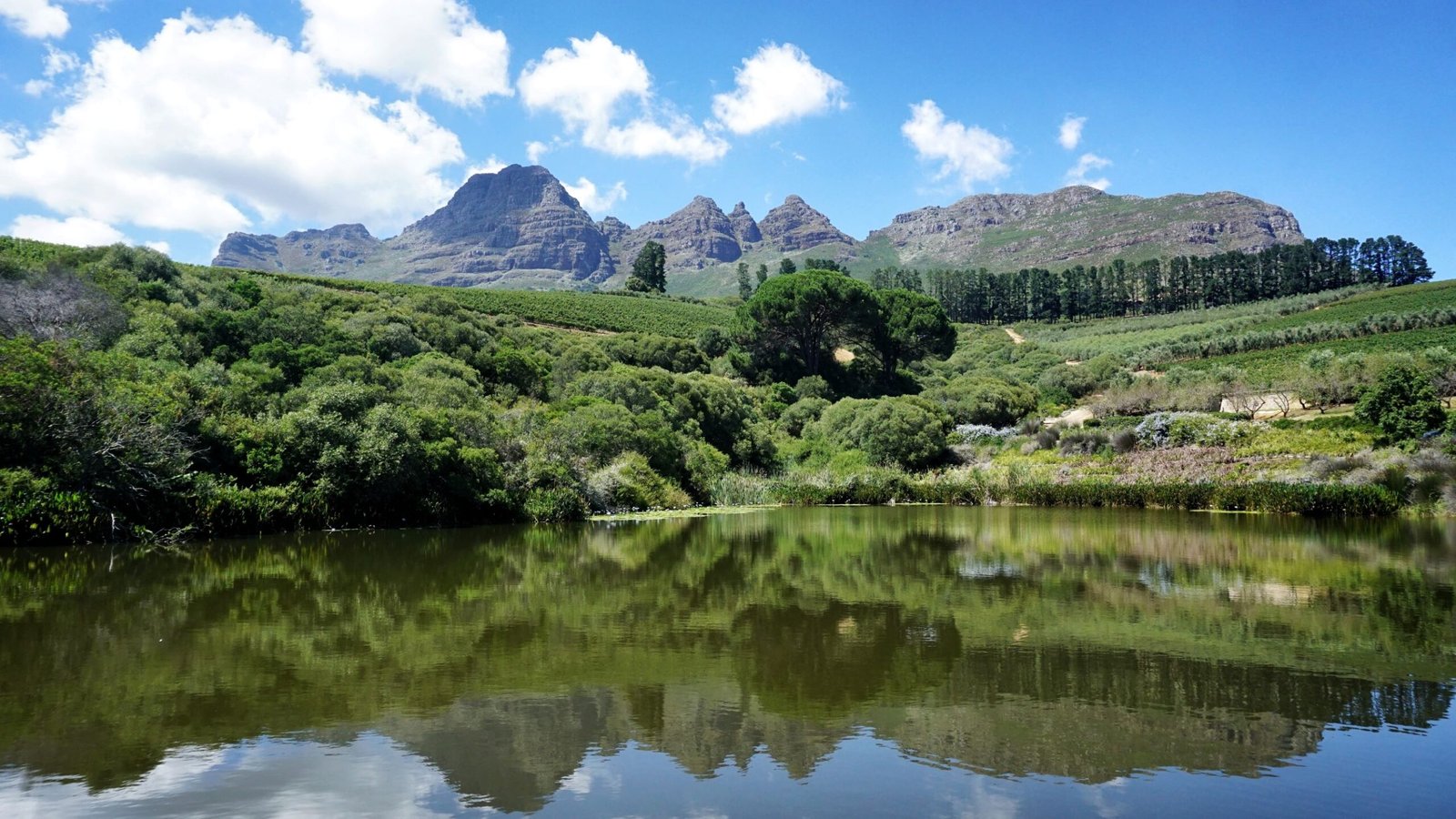 Franschhoek i sør-afrika vin smaking landsby by anika-mikkelson