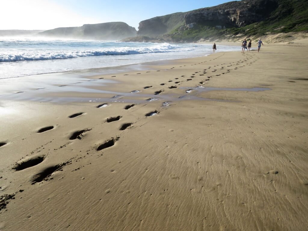 GARDEN ROUTE Robberg Island, Plettenberg Bay, South Africa by anika-mikkelson