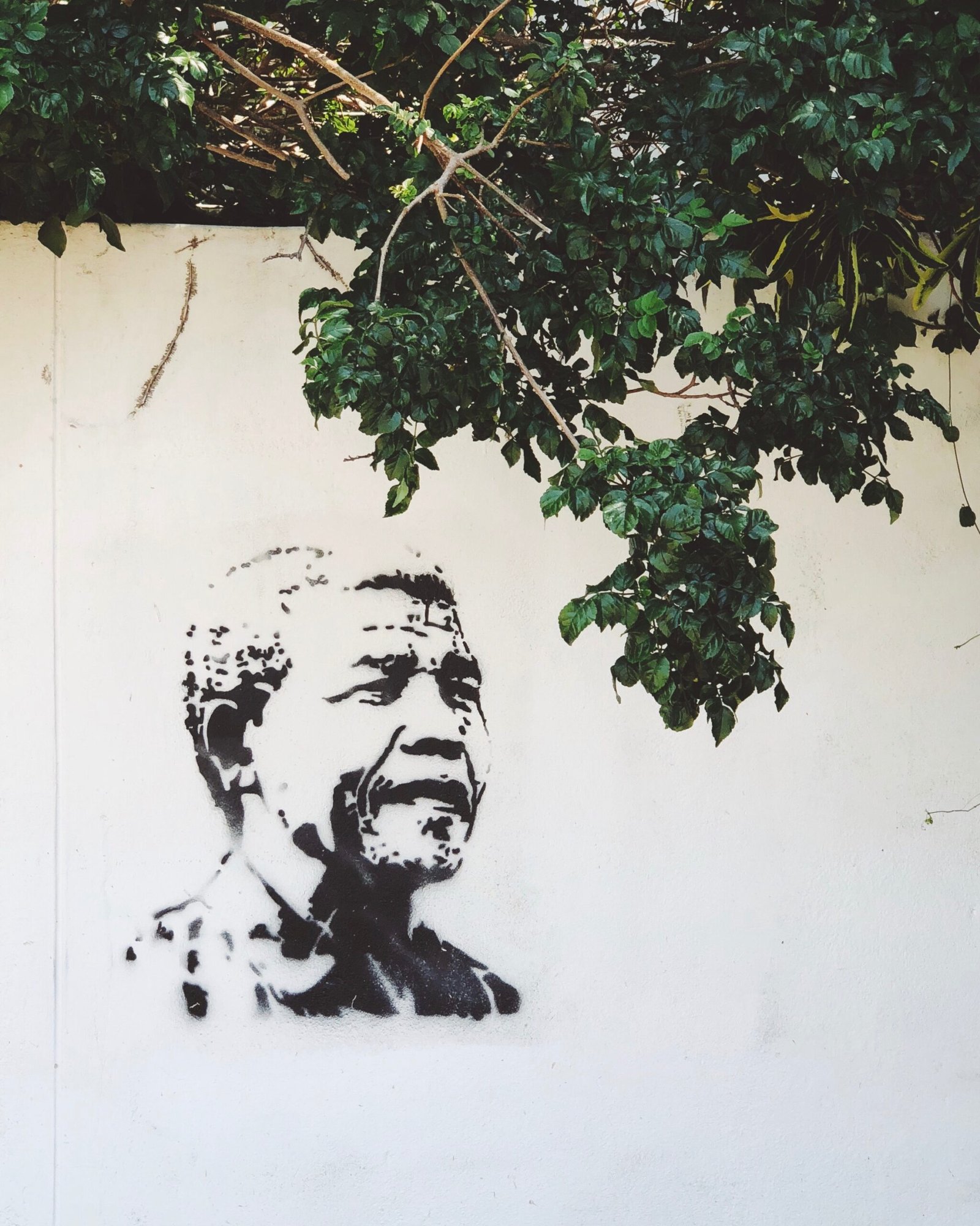 Nelon Mandela by john-paul-henry