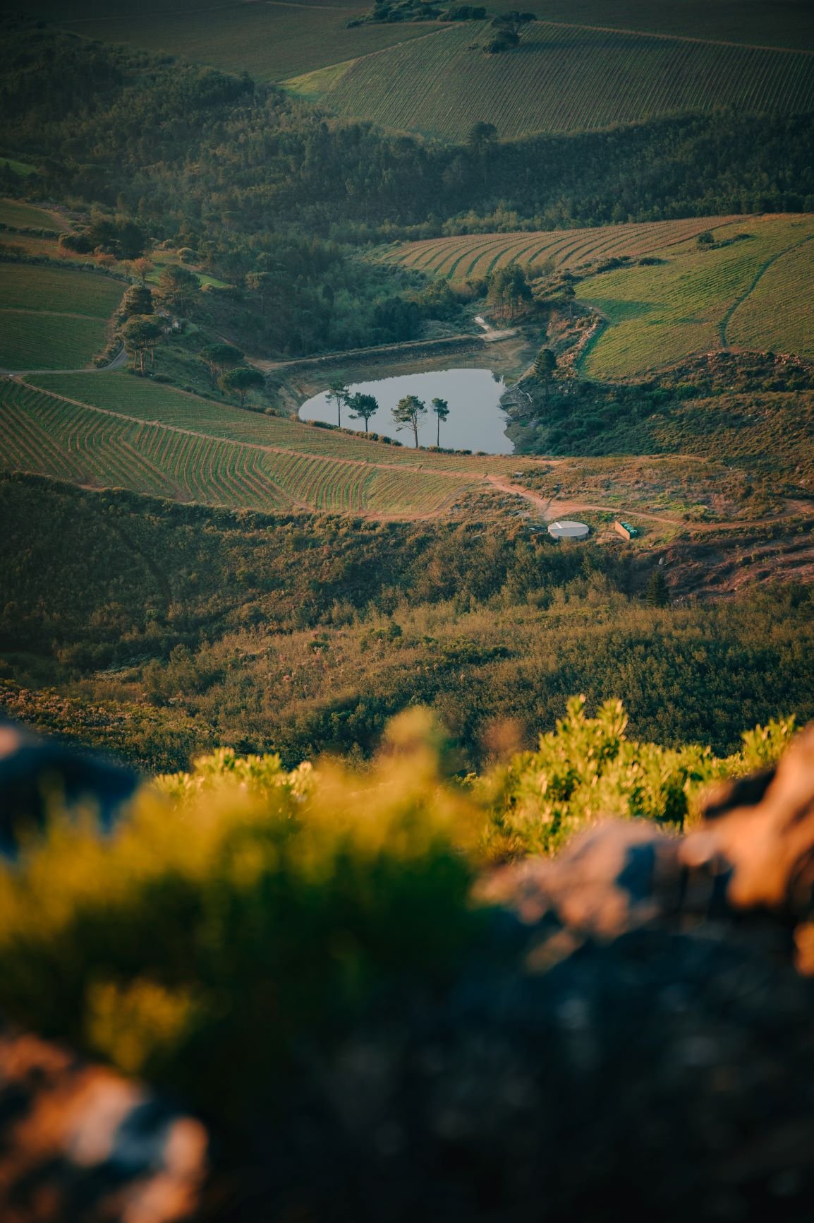 stellenbosch garden route south africa sør-afrika by stephan-louis