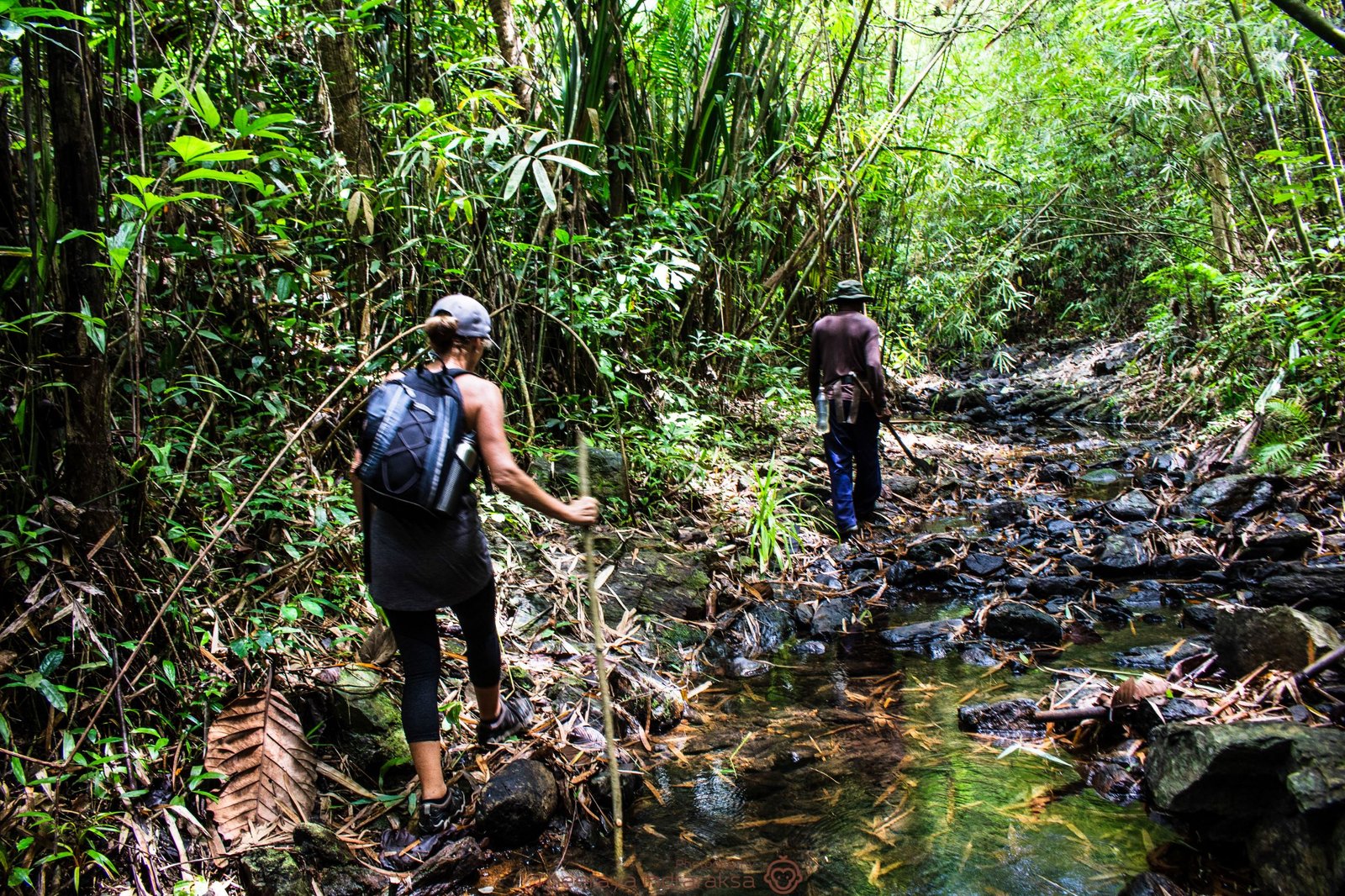 Khao Sok National park