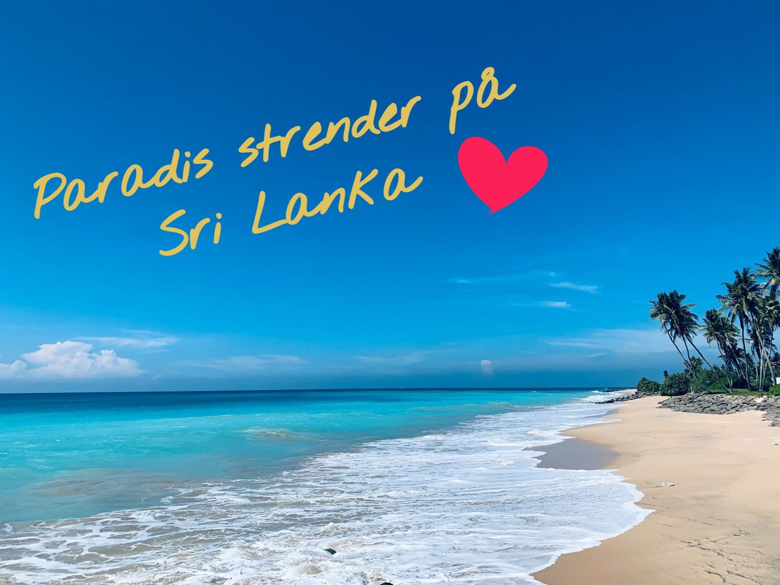 Paradis strender på sri lanka