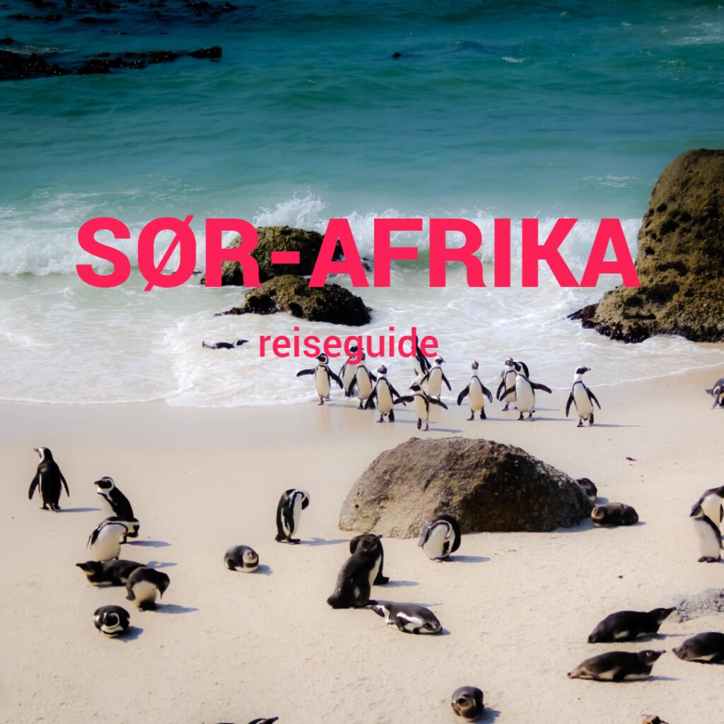 FERIE I SØR-AFRIKA