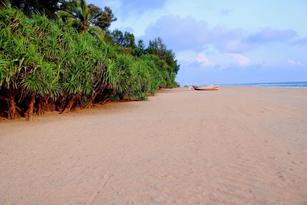 vakker strand i Trincomalee Sri Lanka