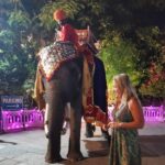 party at diggi palace jaipur