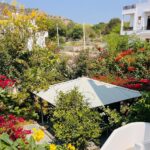 hage guesthouse amber