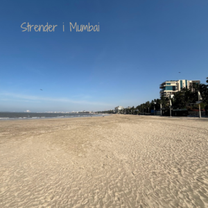 Mumbai beach 4x4