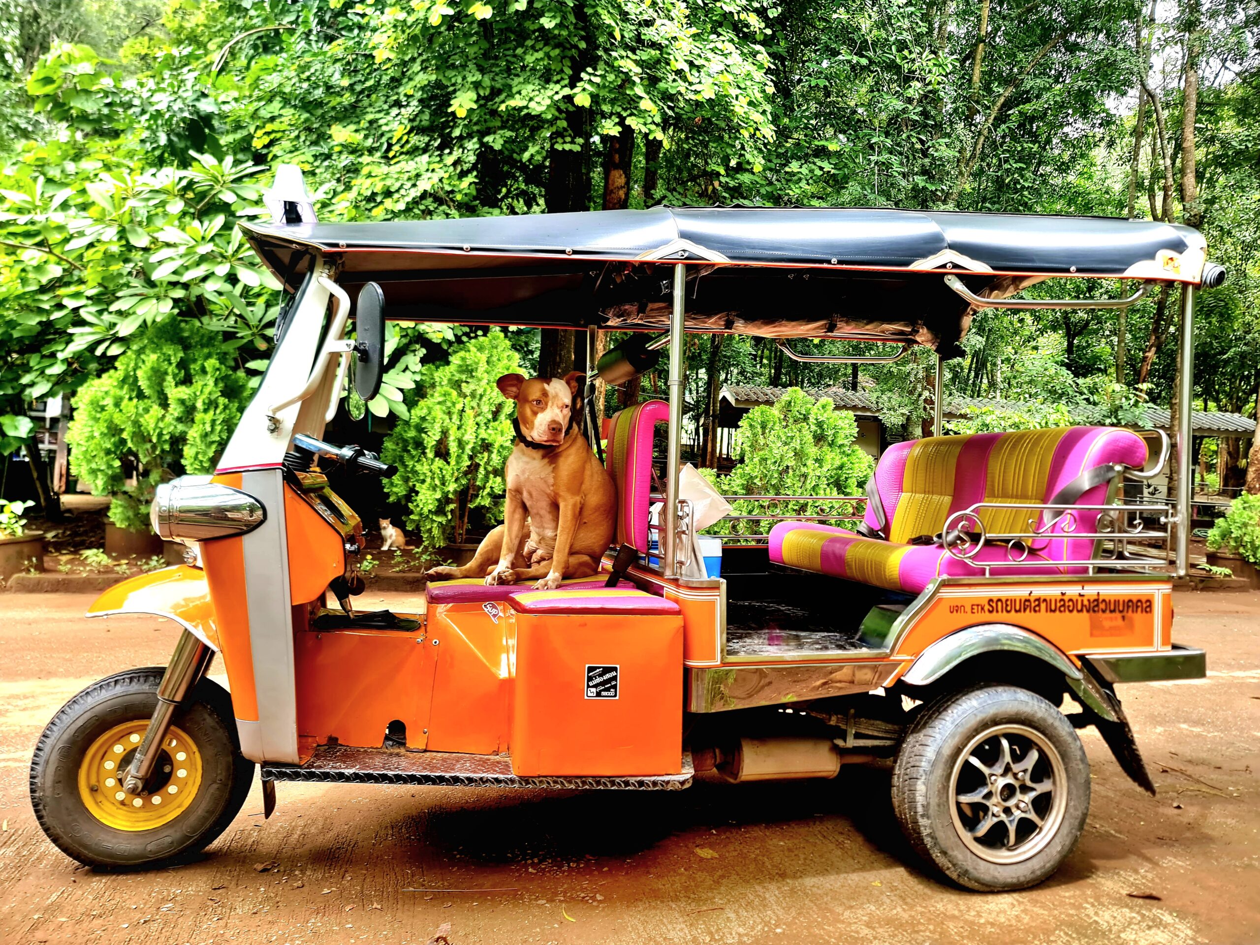 1 DAY ADVENTURE - CHAUFFEUR (9)
