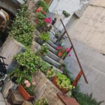 3 land pa? 5 dager Mari