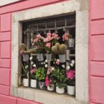 3 land pa? 5dager med Mari